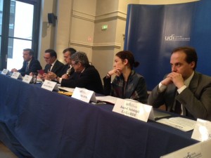 UDI contre gouvernement