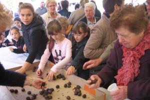 foire d'automne de st pierre