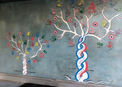 Semaine de la citoyenneté au collège Alain Fournier d’Alban Semaine de la citoyenneté au collège Alain Fournier d’Alban