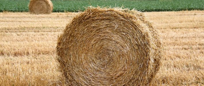 Mise en œuvre dans le Tarn de la clause de force majeure et avance d’1Md€ pour aider les éleveurs touchés par la sécheresse