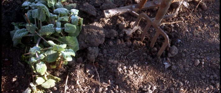 Le Sénateur Folliot interroge le Ministre de l’agriculture sur l’augmentation sur le marché de la fertilisation organique Le Sénateur Folliot interroge le Ministre de l’agriculture sur l’augmentation sur le marché de la fertilisation organique
