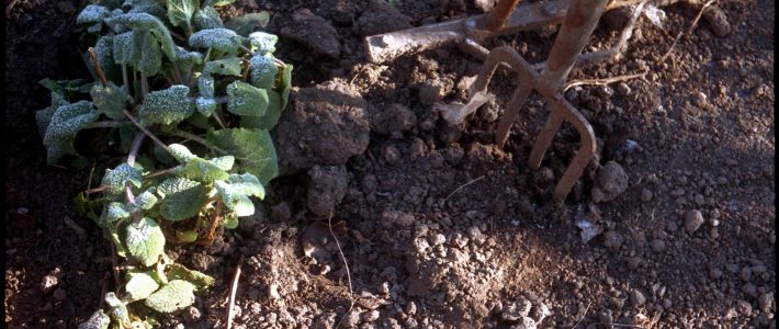 Le Sénateur Folliot interroge le Ministre de l’agriculture sur l’augmentation sur le marché de la fertilisation organique