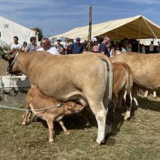 Philippe Folliot se rend à la traditionnelle foire du Ségala