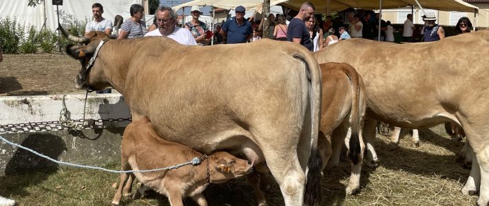 Philippe Folliot se rend à la traditionnelle foire du Ségala