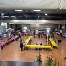 Castres « s’enlivre » : La littérature à l’honneur Castres « s’enlivre » : La littérature à l’honneur