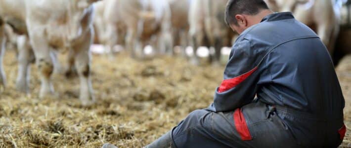 Prévenir le mal-être agricole : une mobilisation collective indispensable